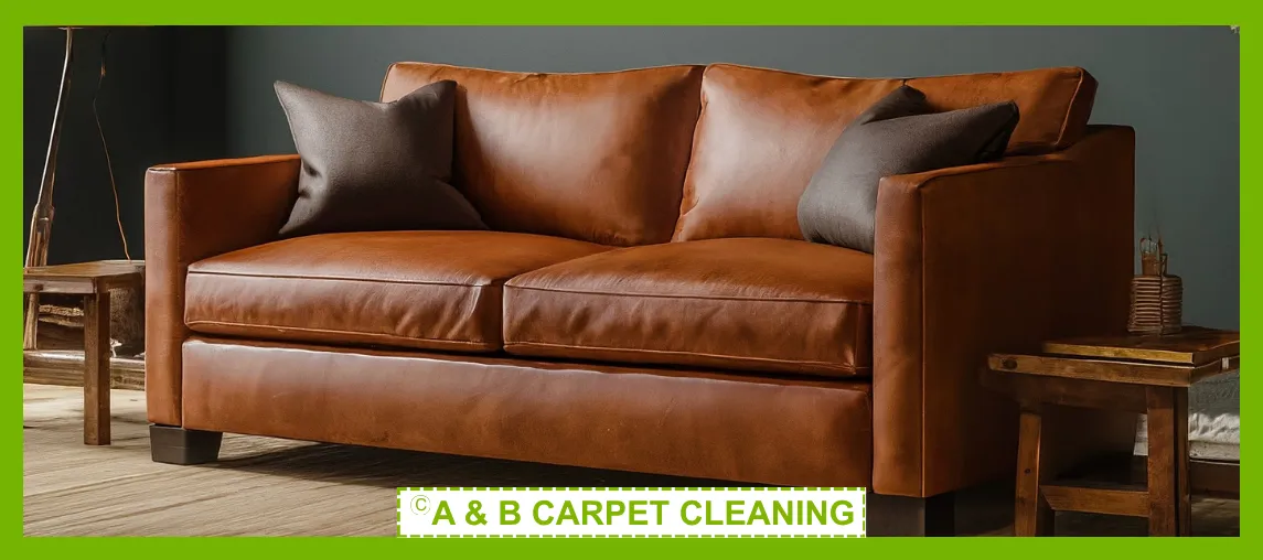 Upholstery Cleaning
