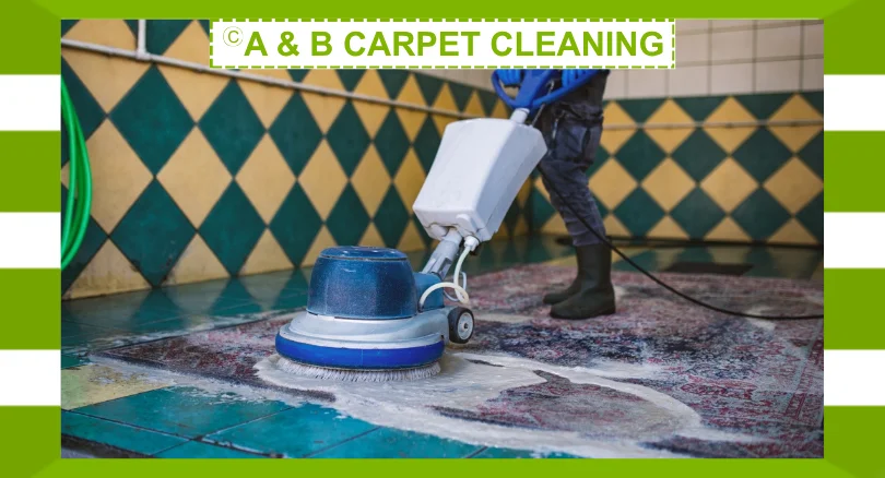 A Detailed Guide on How to Clean an Area Rug