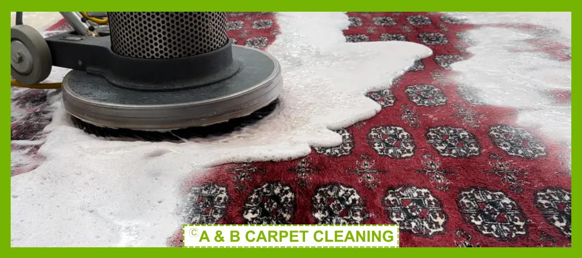 Area Rug Cleaning