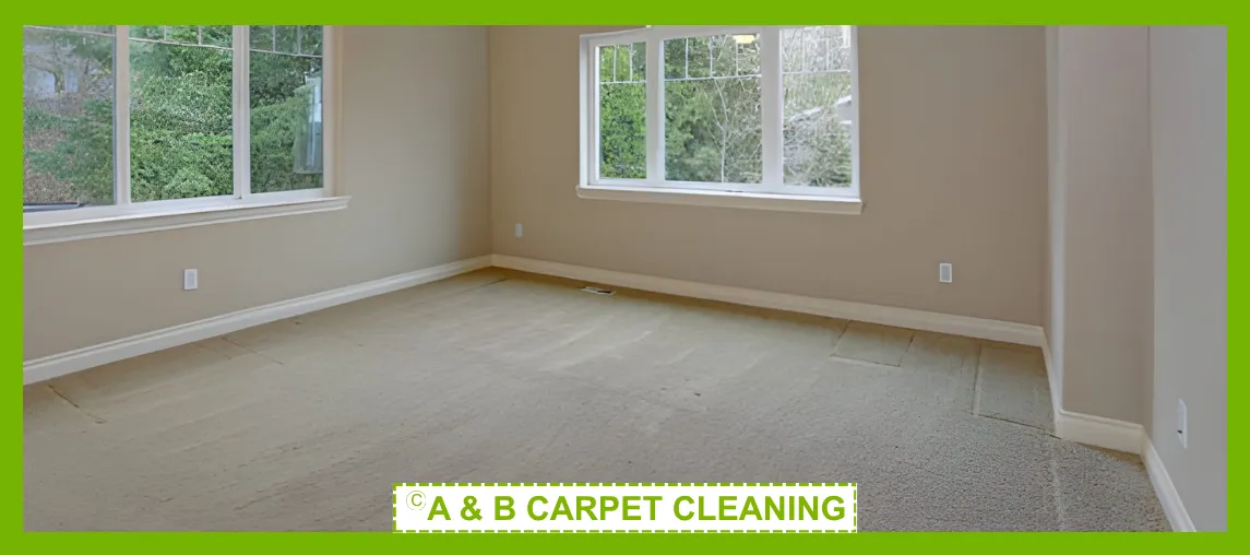 Carpet Cleaning